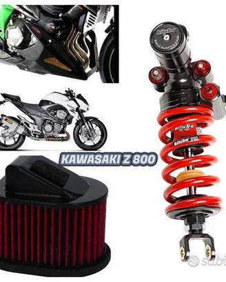 Z 800 Kawasaki centralina ammortizzatore puntale