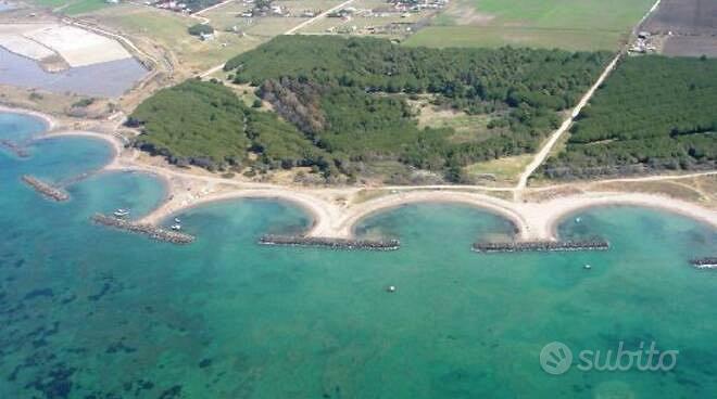 OASI PRIVATA A 5 MINUTI DAL MARE-terreno Tarquinia - Vista 6