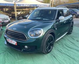 Mini Cooper D Countryman Mini 2.0 Cooper D Busines