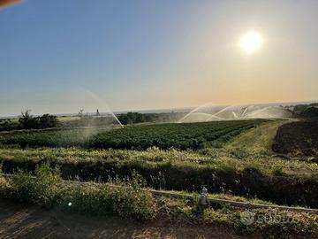 Azienda agricola orticola