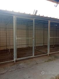 Box cani
