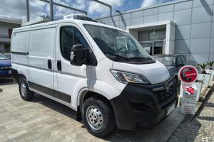 OPEL Movano 33 BlueHDi 140 PC-TN Furgone CELLA FRI