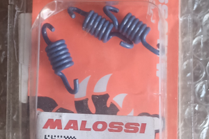 Mollette blu malossi per piaggio