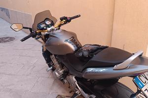 Moto Hornet 