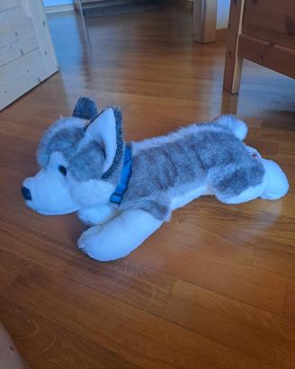 Peluche Husky