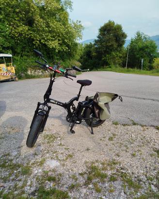 Bici elettrica E bike Miele fat 48v2s