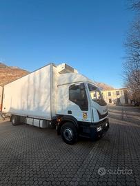 Iveco eurocargo frigo