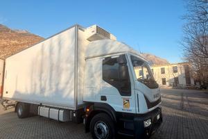 Iveco eurocargo frigo