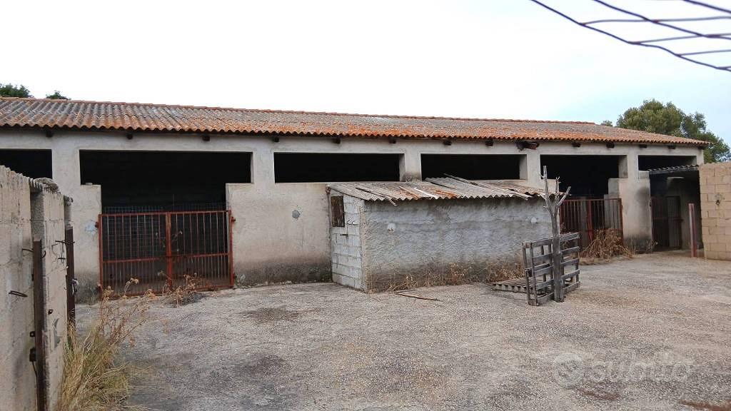 Terreno di 240000 m² a Monti - Vista 3