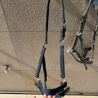 Capezza mascheroni cavallo