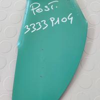 RASCHIETTO POSTERIORE NARDI