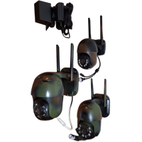 TELECAMERE IP WIFI 5 MPX 360° MIMETICHE 12V