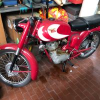 Moto Morini sbarazzino - 1959