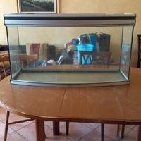 acquario+mobile+pompa fluval