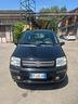 fiat-panda-1-2-dynamic-natural-power-mamy