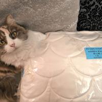 Wenatex - cuscino wenaCel