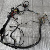 Cablaggio Kokusan Cagiva Mito I Serie