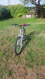 Mountainbike 24" Frejus 
