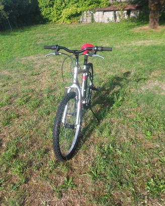 Mountainbike 24" Frejus 