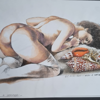 Druuna sulle conchiglie di G.Gariani