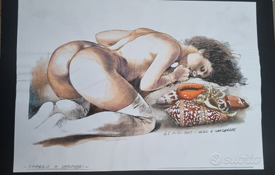 Druuna sulle conchiglie di G.Gariani