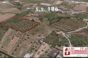 Terreno Agricolo a Torrazzo di Sellia Marina