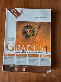 GRADUS 1

Lingua, civiltà, antropologia, lessico