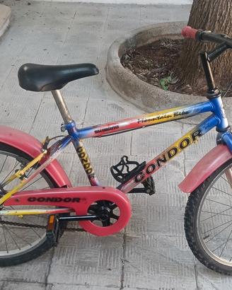 Bici da 20'
