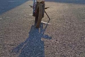 Pit bike lem 110FR ruota 14/12