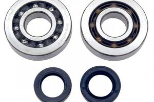 Kit revisione albero motore per Piaggio Sfera Zip 