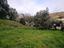 Immagine 11