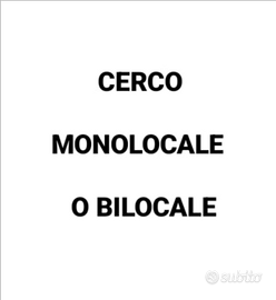 Cerco monolocale/bilocale