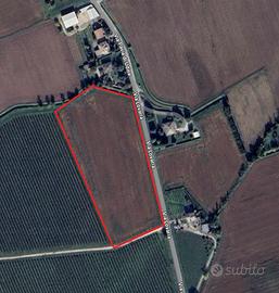 Terreno agricolo 21.000mq