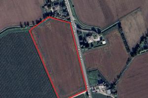 Terreno agricolo 21.000mq