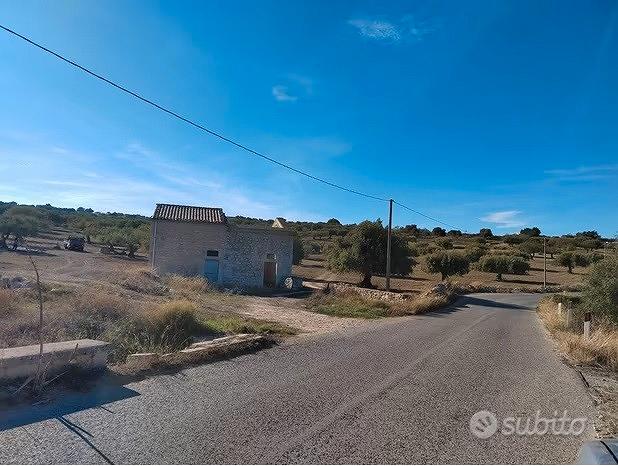 Terreno Agricolo 90 alberi Ulivo + Casa Scicli RG - Vista 4