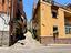 Immagine 17