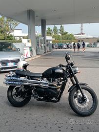 Triumph scrambler 900