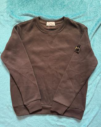 Felpa Stone Island