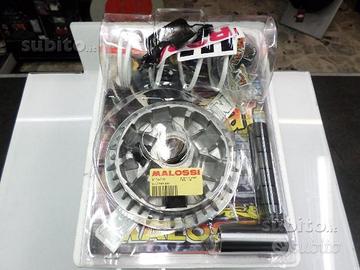 Variatore malossi kawasaki J300 downtown 300