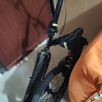 bici pieghevole 