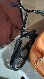 bici pieghevole 