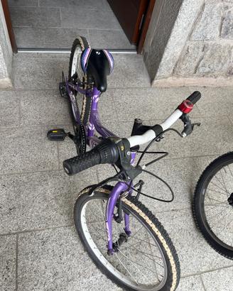 Bicicletta