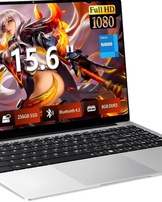 PC Portatile 15,6 Pollici, FHD 1920×1080, SSD 256