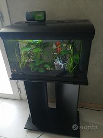 Acquario Mirabello 60