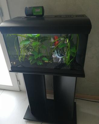 Acquario Mirabello 60