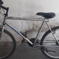Bicicletta Atala