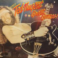 Ted Nugent disco vinile