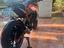 Immagine 4