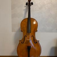 Violoncello