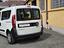 Immagine 9